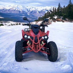 Бензиново ATV MaxMotors 200cc Grizzly Sport – RED DEVIL