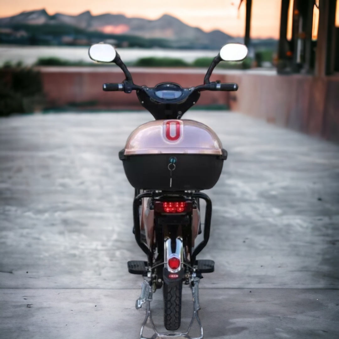 Електрически скутер-велосипед MaxMotors EBZ16 500W – ROSE GOLD - Image 5
