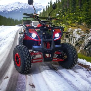 ЕЛЕКТРИЧЕСКО ATV MAXMOTORS GRIZZLY SPORT PRO 2500W