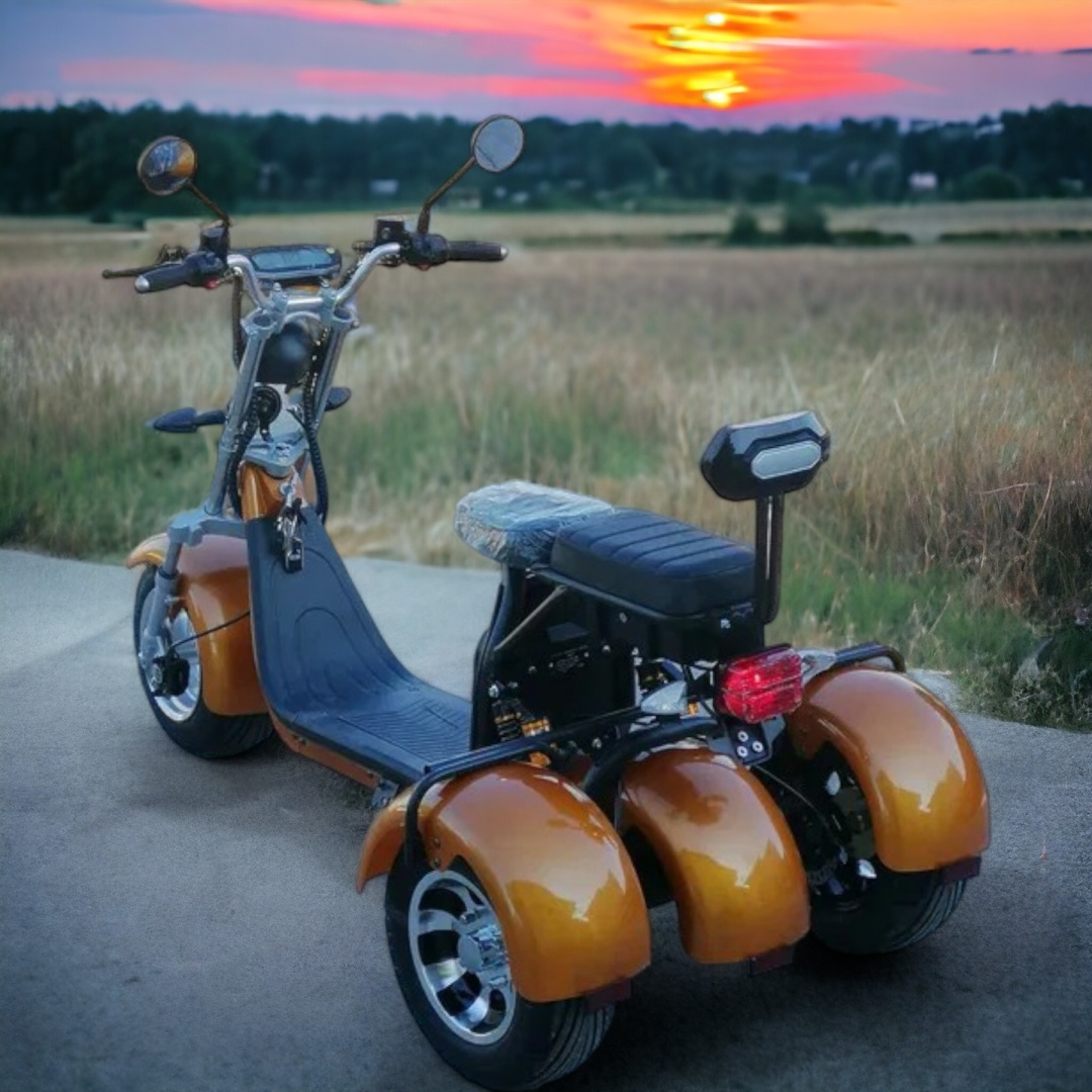 Електрическа триколка MaxMotors HARLEY 3000W GOLD - Image 2