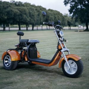 Електрическа триколка | Harley Gold | Top 3000W - vikilux