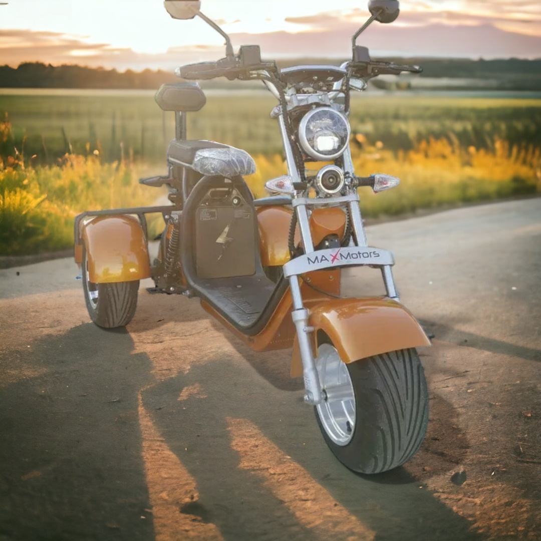 Електрическа триколка MaxMotors HARLEY 3000W GOLD - Image 4