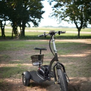 Електрическа триколка A2 | 500W, цвят Черен - vikilux