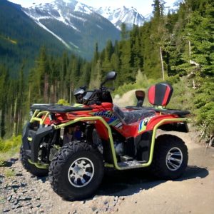 Бензиново ATV с Ролбари 200 кубика BRUTE TOURIST