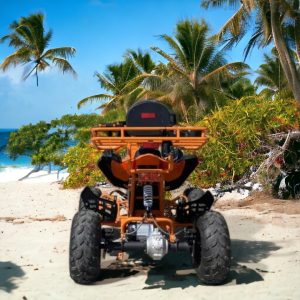 Eлектрическо ATV MaxMotors Falcon SPORT 1500W Orange