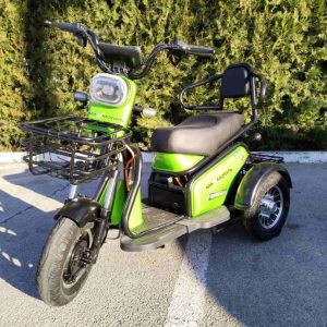 Двуместна Електрическа Триколка MaxMotors Pudding 1200W Green