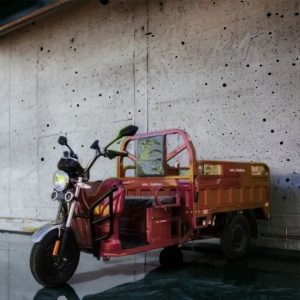 Електрическа Селско-стопанска триколка MaxMotors HEAVY CARGO 2000W Red