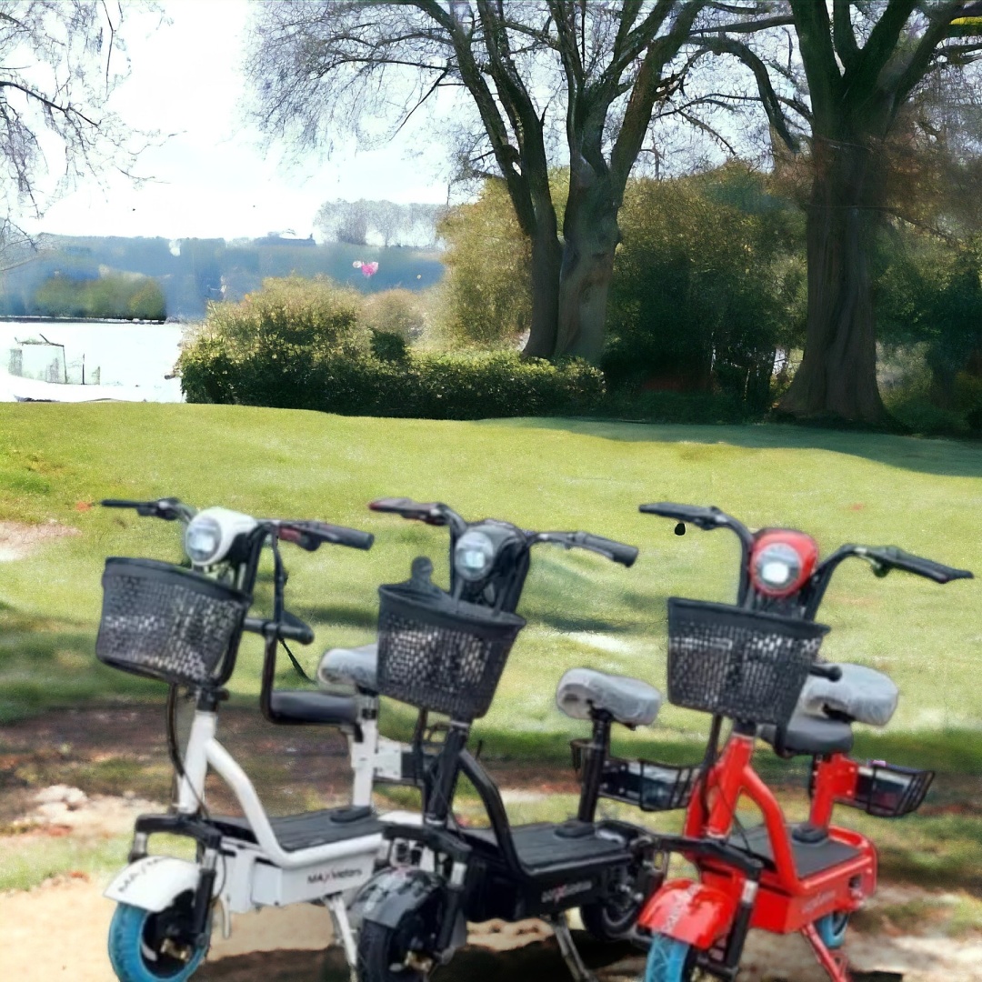 Електрически Скутер MaXmotors Мини Дизайн 350W