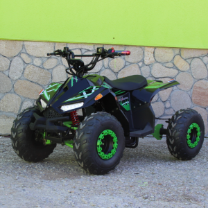 Eлектрическо ATV MaxMotors Mudhawk 1200W Черно