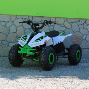 Eлектрическо ATV MaxMotors Mudhawk 1200W Бяло