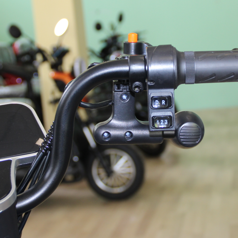 Двуместна електрическа триколка MAX MOTORS 1500W 20 AH Blue - Image 12