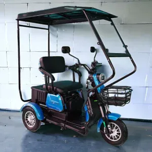 Електрическа Триколка MaxMotors триместна с покрив X1