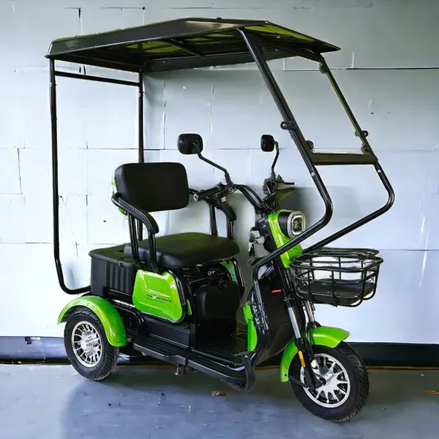 Електрическа Триколка MaxMotors триместна с покрив X1 - Image 2